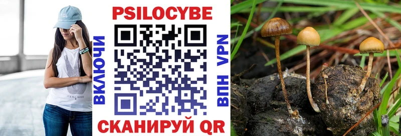 продажа наркотиков  Чебаркуль  Псилоцибиновые грибы прущие грибы 